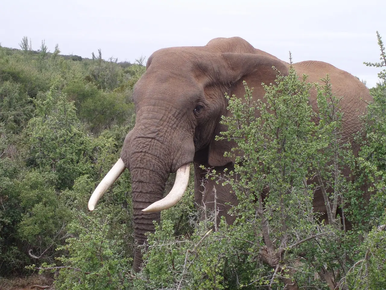Nachhaltig reisen afrika